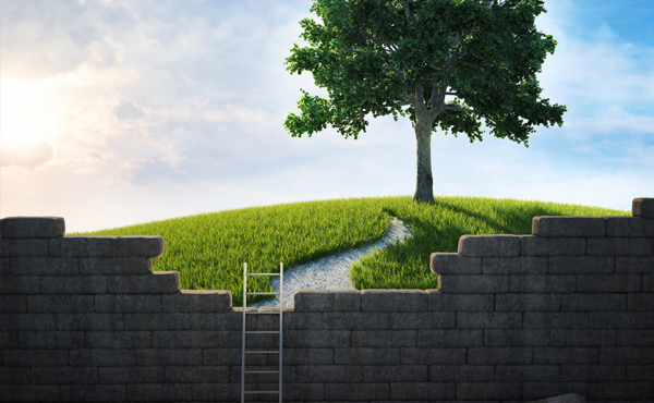 Ge├»llustreerde tekening van een muur en ladder met een weelderige boom